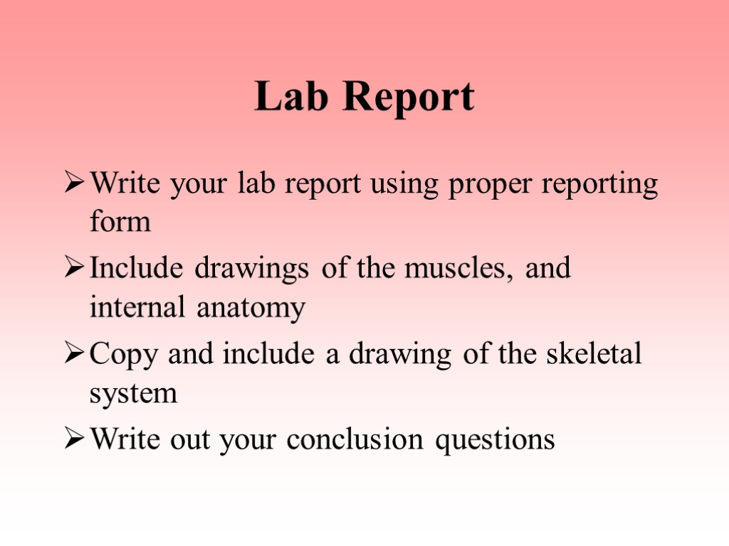 Lab Report Write your lab report using proper reporting form Include drawings of the
